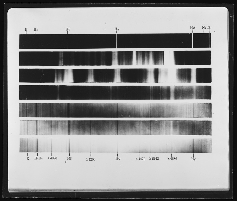 Spectres types chauds (titre forgé)