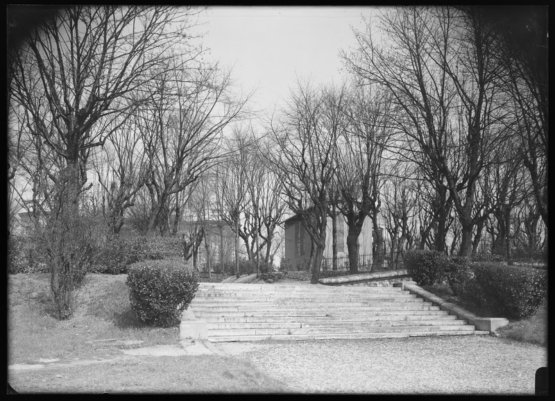 Grand escalier du parc, le 30 mars 1934 - Observatoire de Paris (titre forgé)