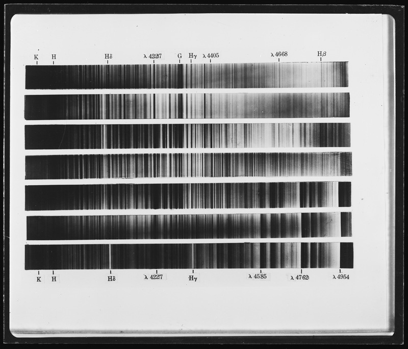 Spectres types très froids (titre forgé)