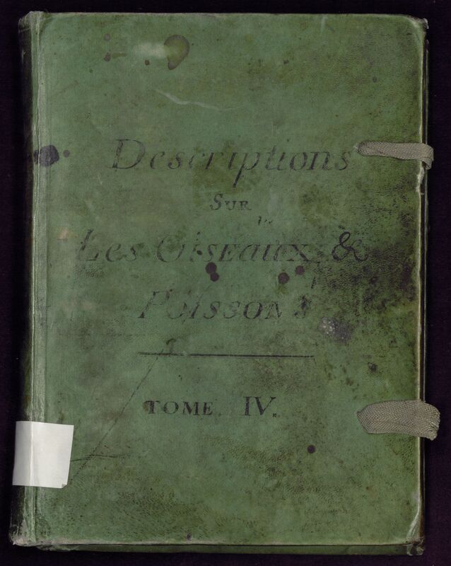 Journal du Voyage de l'abbé Chappe en Californie, supplément