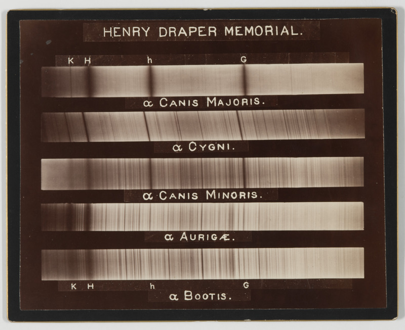 Henry Draper Memorial. Spectres des étoiles α Canis Majoris, α Cygni, α Canis Minoris, α Aurigae, α Bootis (titre original)