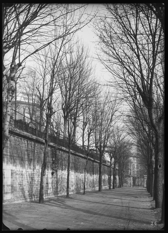 Allée latérale Est, le 30 mars 1934 - Observatoire de Paris (titre forgé)