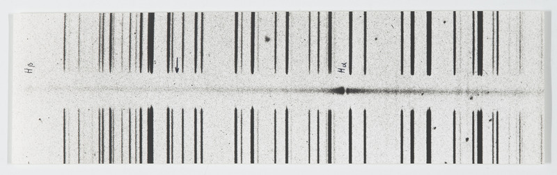 Spectre (titre forgé), OHP. Télescope 120cm. Spectres E' [230A/mm] [x20] E'119 - t=16h - 1N hyp. f/2,4. 3C273 [radiosource] la flèche indique la position normale de Hα. (titre original)