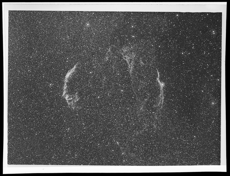 Les Dentelles du Cygne. N.G.C 6960, 6992, 6995. - Cliché J.Texereau - Télescope Schmidt de 30cm - Observatoire de Haute-Provence (titre forgé)