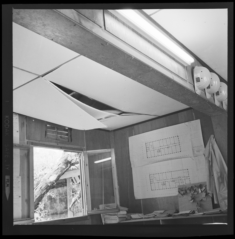 Dommages causés par la chute d'une branche d'arbre sur la baraque du chantier du bâtiment B au 77, avenue Denfert-Rochereau (Juillet 1977) (titre forgé) / [4 images]