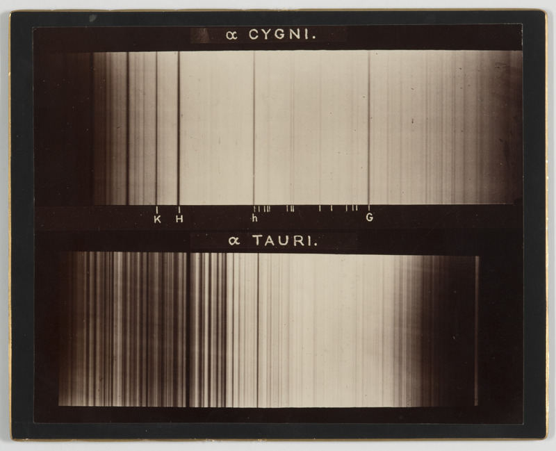 Spectres des étoiles α Cygni et α Tauri (titre original)